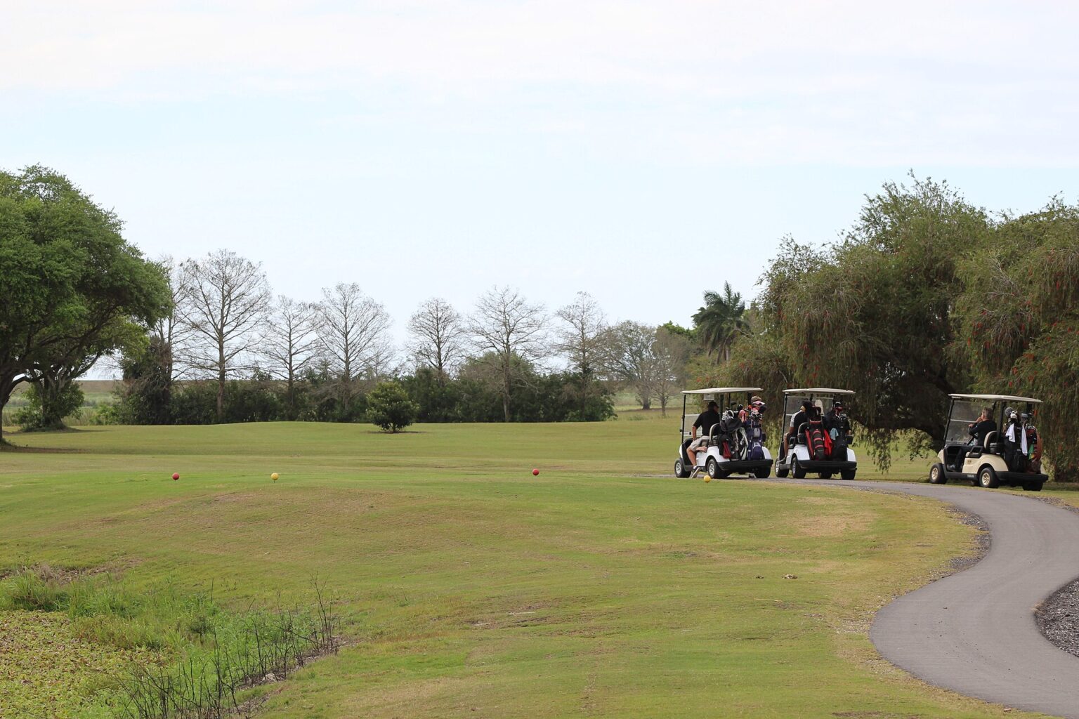 Fix Golf Seti